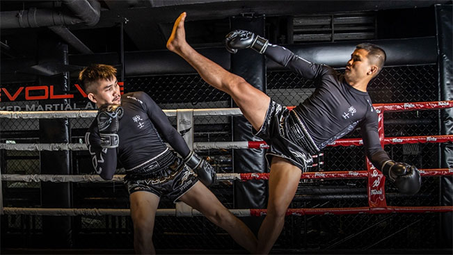 Best Competitive Fighting and MMA Training Gear at Elite Sports