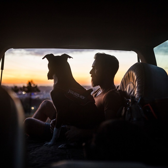 car travel with your puppy