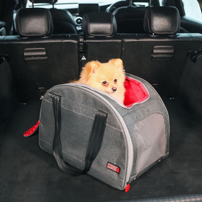 KONG Pet Carrier & Travel Mat